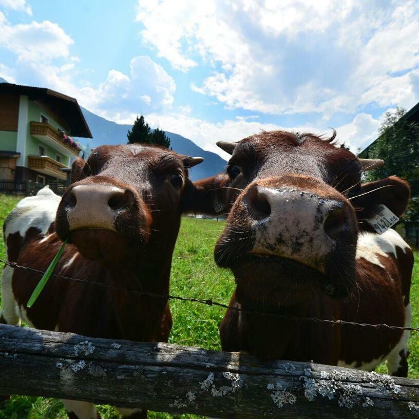 Landhaus Rieser Bad Hofgastein Kültér fotó